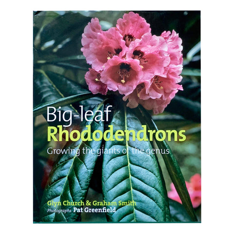 Big Leaf Rhodendrons | Growing the Giants of a Genus