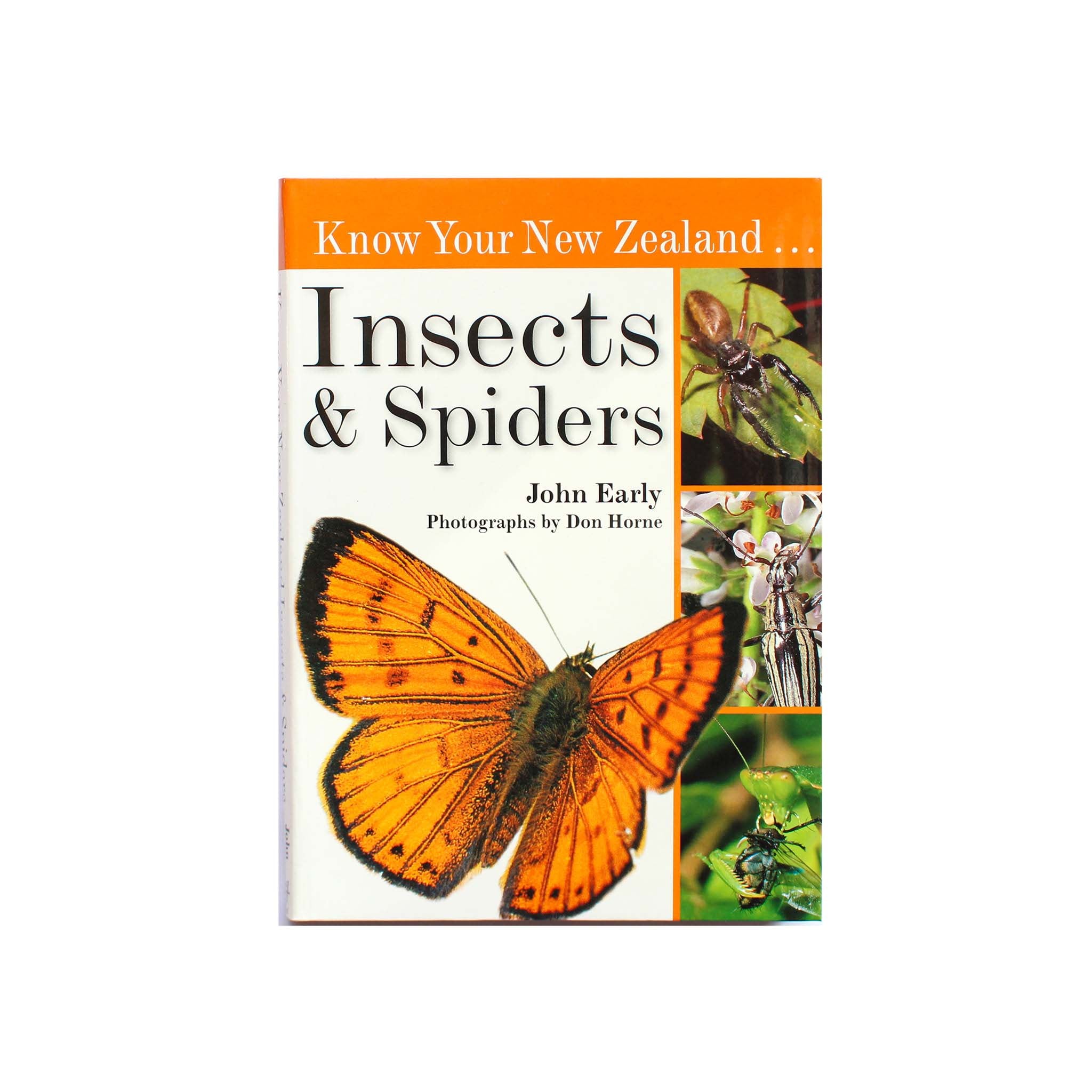 Know Your New Zealand ... Insects & Spiders