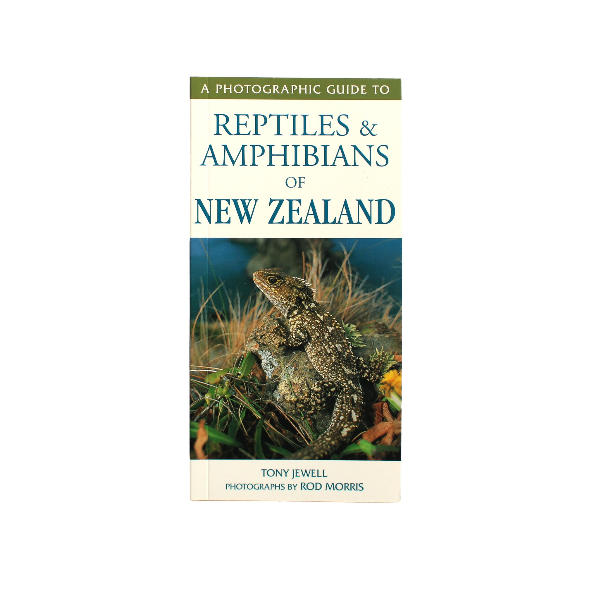 A Photographic Guide to Reptiles and Amphibians of New Zealand