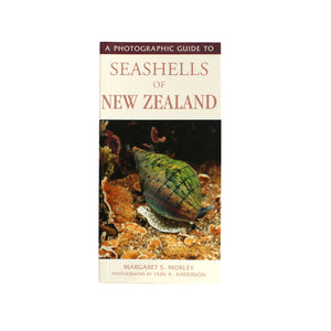 A Photographic Guide to Seashells of New Zealand