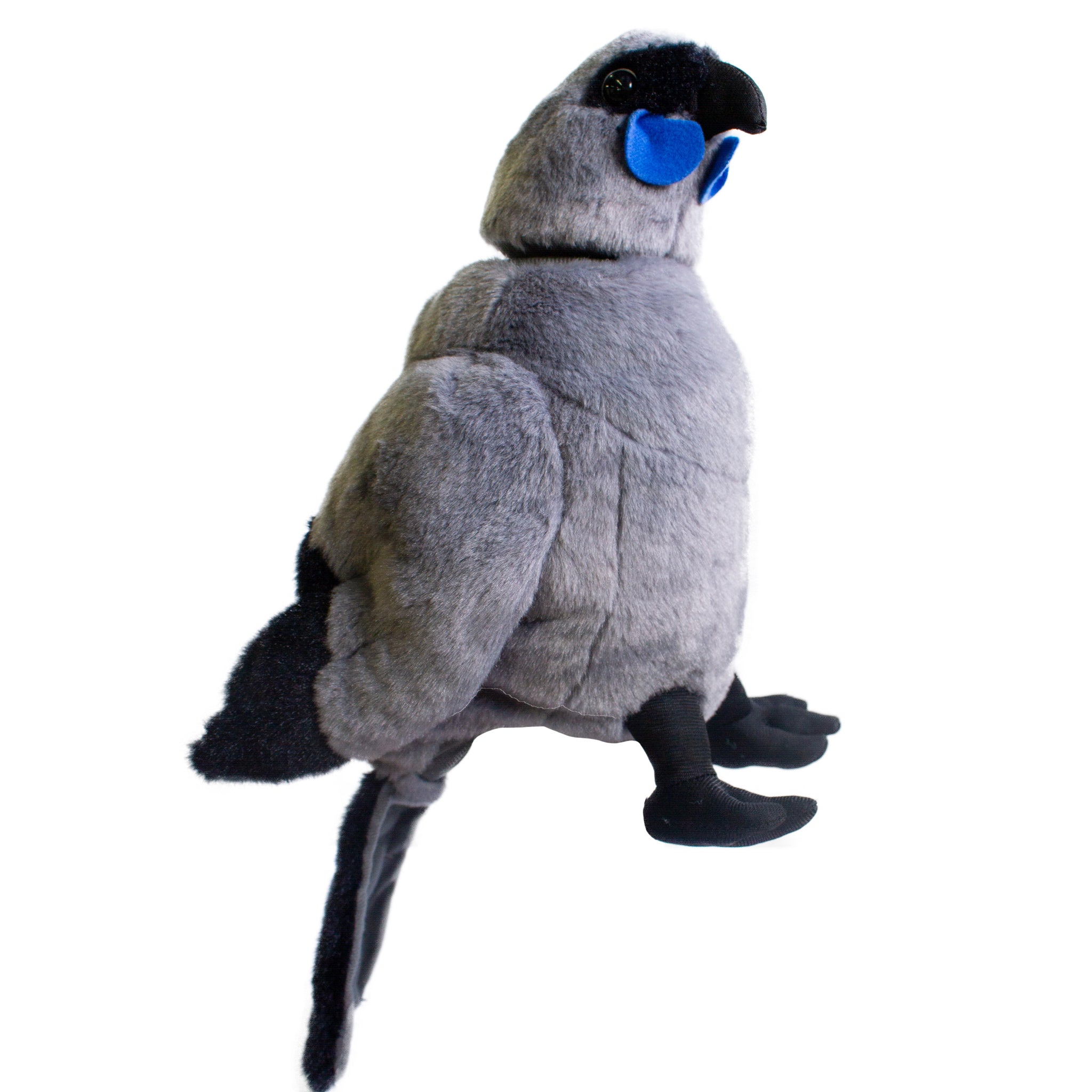 Kōkako Sound Puppet