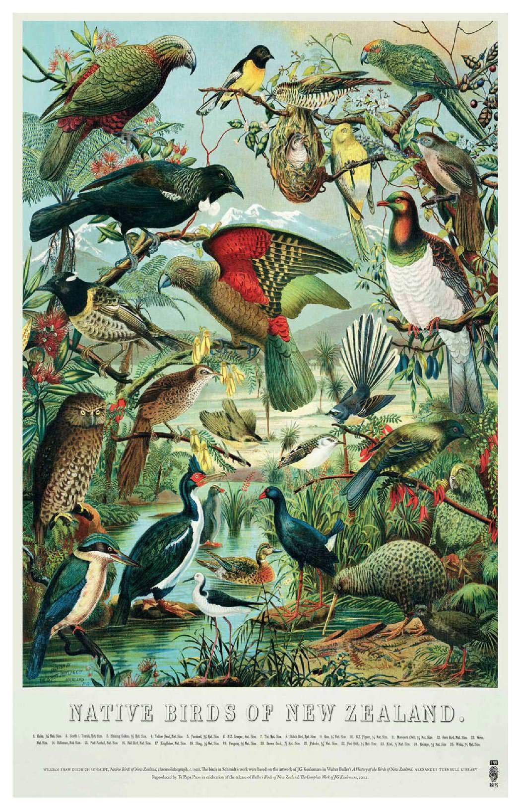 Tea Towel - Native Birds of New Zealand